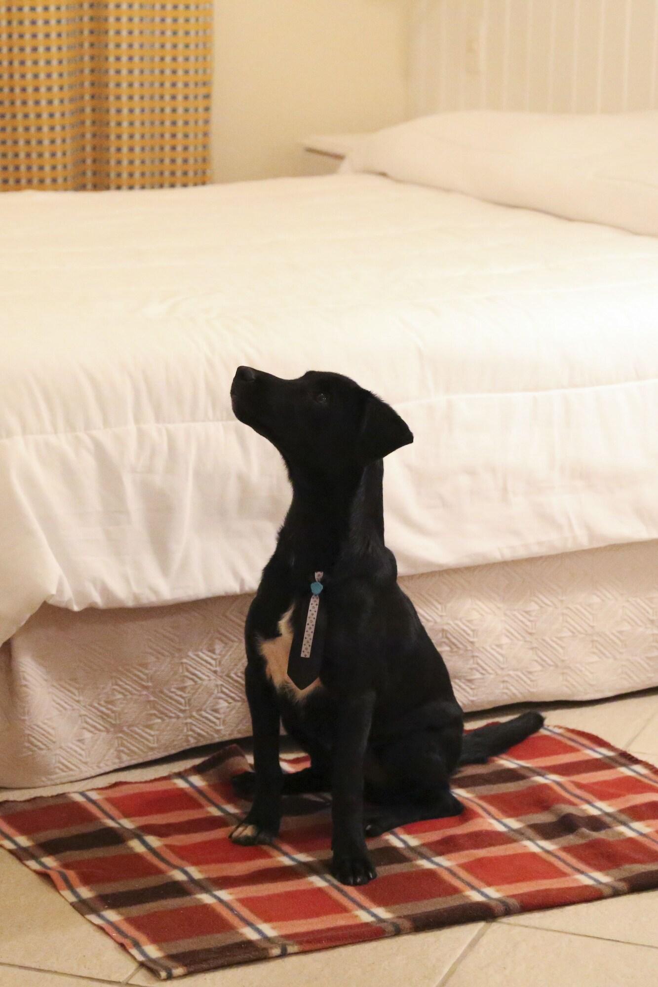 קמפינאס Vitoria Hotel Residence Newport מראה חיצוני תמונה